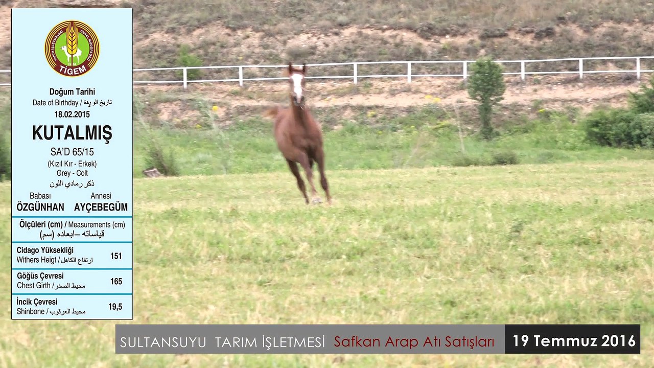 KUTALMIŞ