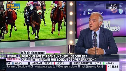 Idées de placements: Pourquoi investir dans un cheval de course ? - 16/06