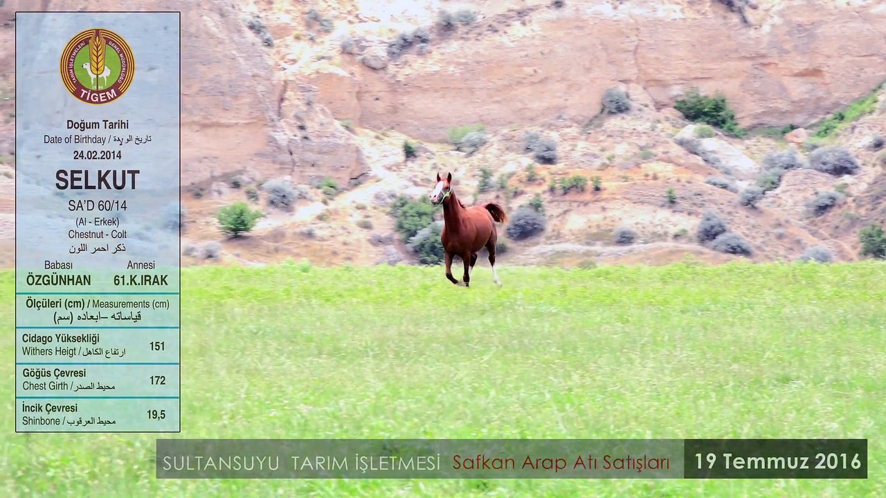 SELKUT