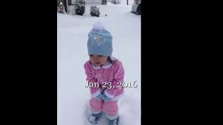Blizzard of 2016 in Tennessee on Jan 23, 2016