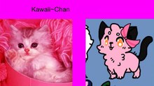 Minecraft Diaries Cats / Tigre From Zumba Fitness Rush