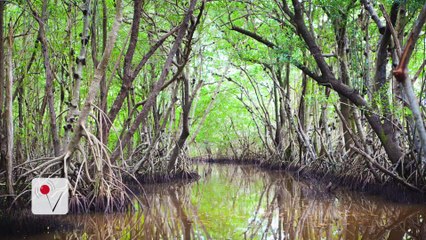 Coast Guard Searching For Missing College Students in Everglades