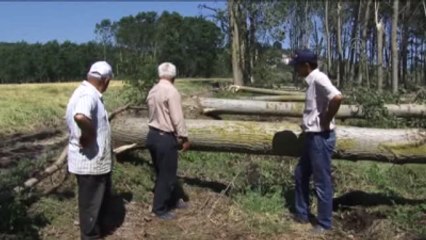 Dolu Tarım Alanlarına Zarar Verdi