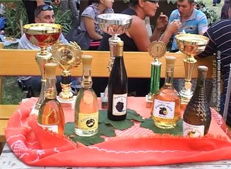 Eastvil festival, 16. jun 2016. (RTV Bor)