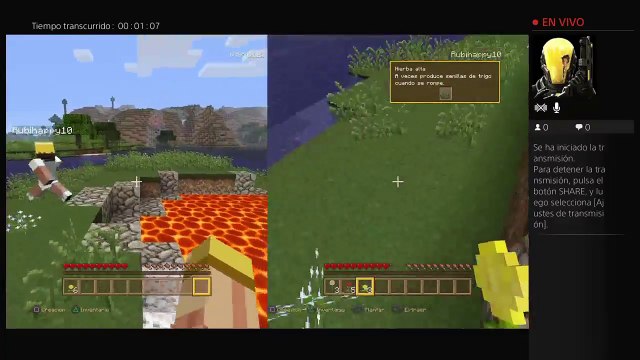 Minecraft pantalla dividida (4)