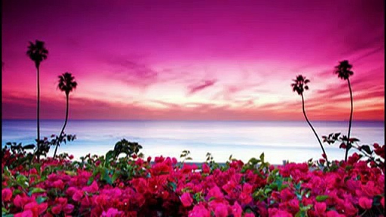 MUSICA DE RELAX,YOGA ,REIKI ( caricias para el corazon) RELAXATION 2H