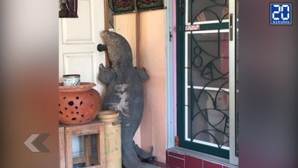 Sa porte se fait bloquer par un Varan Géant ! - Le rewind du jeudi 16 juin 2016.