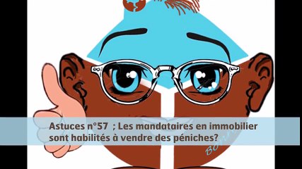 Vente de péniche par un mandataire en immobilier
