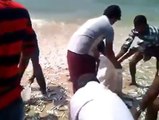Miracle in sea in Kerala  India-Fish Rain
