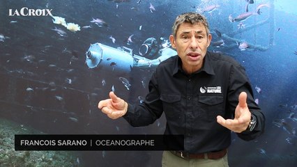 François Sarano : "Les baleines sont revenues enchanter les océans"