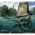 Dinosaurios. T-rex,i-rex,spinosaurus,velociraptor,triceratops