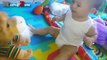 Cute babies doing funny things - cute babies funny videos