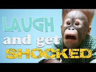 TRY NOT TO LAUGH, MOST SHOCKING VERSION YET - @OMGitsEddieG