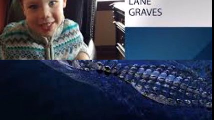 President of Walt Disney World Resort releases statement about alligator attack