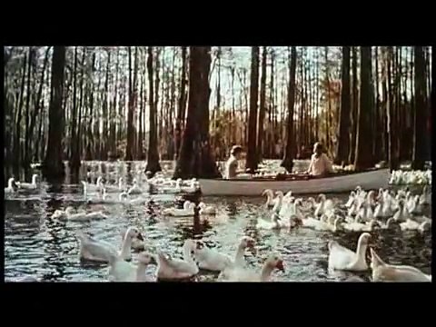 N’oublie jamais de Nick Cassavetes