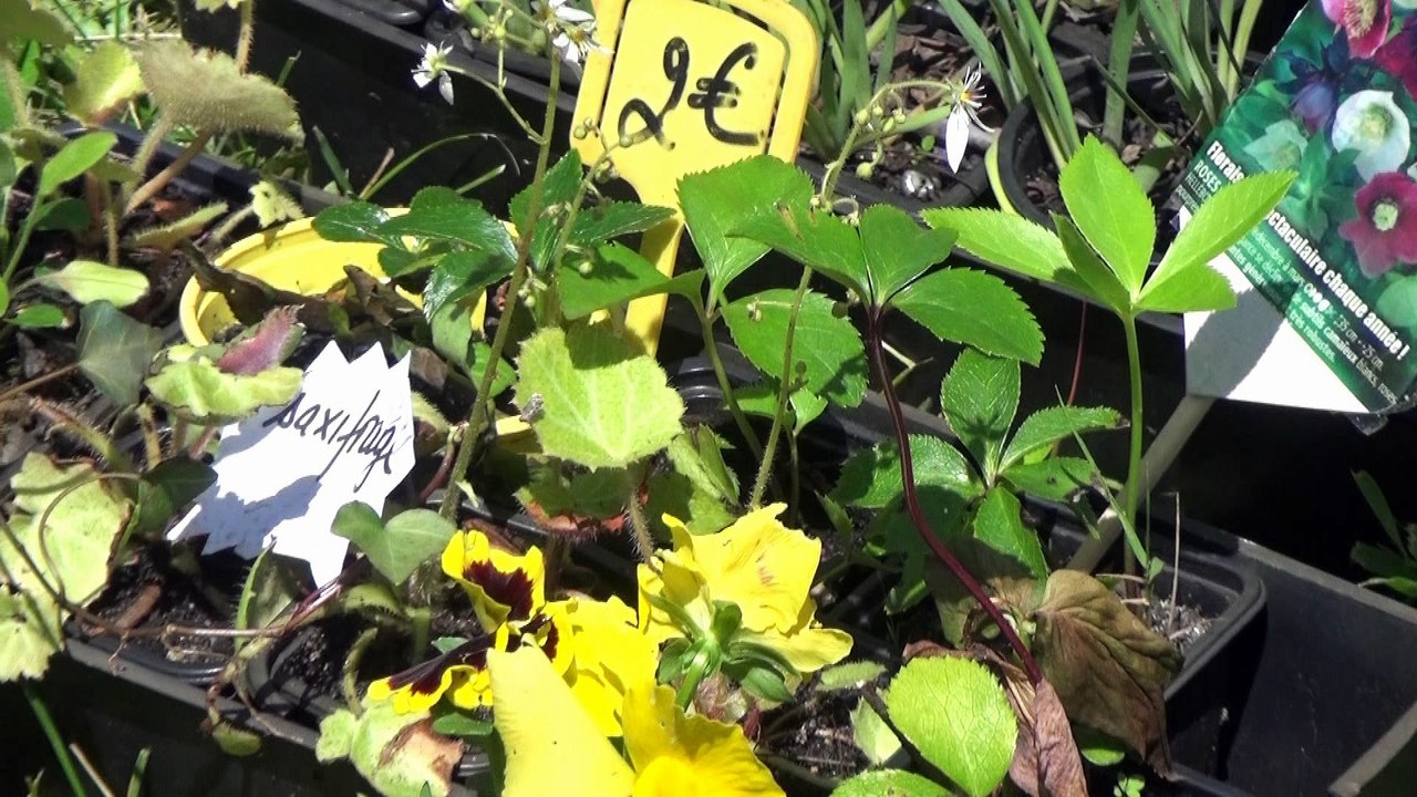 TROC-PLANTES 2016 en CITADELLE