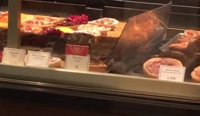 Il filme des rats dans une boulangerie Paul à Paris gare de Lyon