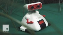 #TBT: the 1980s Dingbot that was far from high-tech