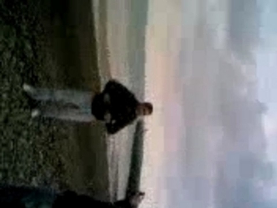 APB TKT