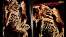De mystérieuses créatures retrouvées dans un ancien manoir en Angleterre
