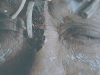 10 000 ans avant JC de Roland Emmerich