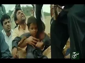 آپ سچے پاکستانی ہیں