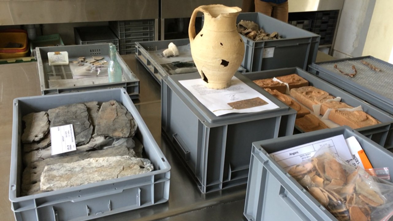 Visite au Centre de conservation et d'étude