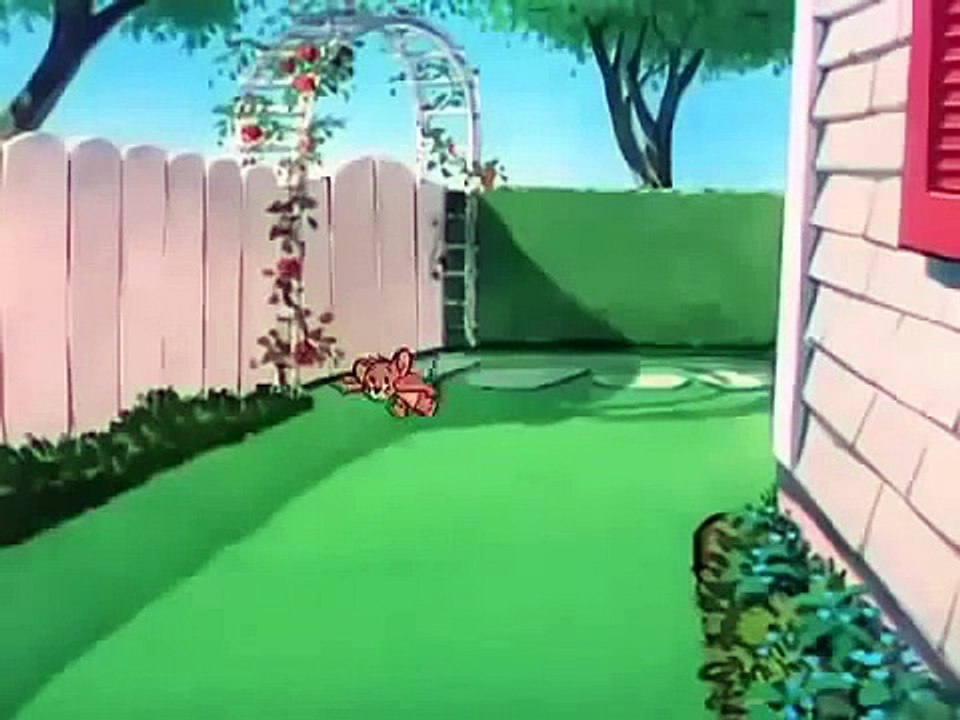 Tom And Jerry Cartoon in Urdu - ٹام اینڈ جیری