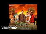 De La Ghetto  - Pasto y Playa ft. Guelo Star, Randy  Alex Kyza [Official Audio]