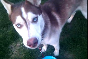 video-2010-04-21-19-46-47