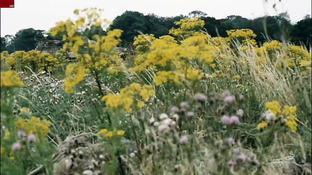 SAVING PRIVATE RYAN - HALF TRACK ( STEREO HD )