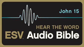ESV Audio Bible, Gospel of John, Chapter 15