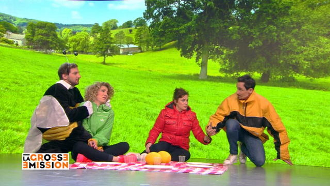 Le pique-nique - La Grosse Emission du 16/06