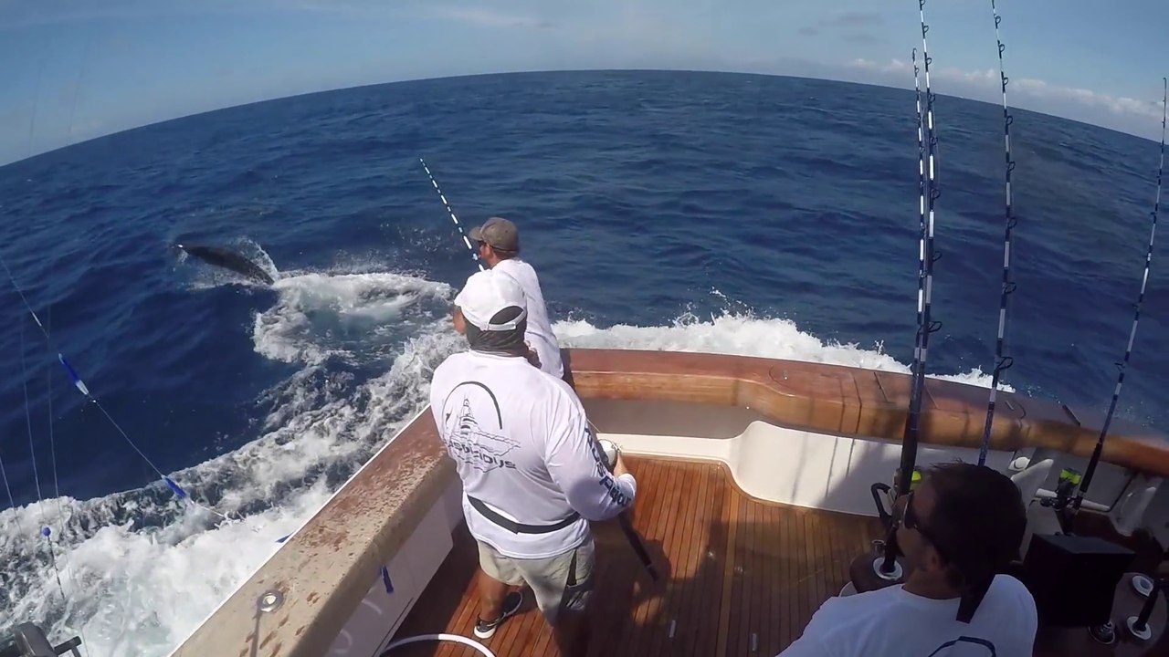 Cap Cana, Dominican Republic: Where the Bite Is