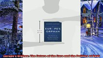 Popular book  Europes Orphan The Future of the Euro and the Politics of Debt
