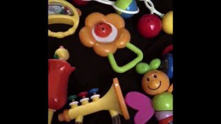 WolVol 10 Piece Baby Rattle Toy Review, Wonderful Rattle Assortment!
