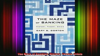 READ book  The Maze of Banking History Theory Crisis Full Free