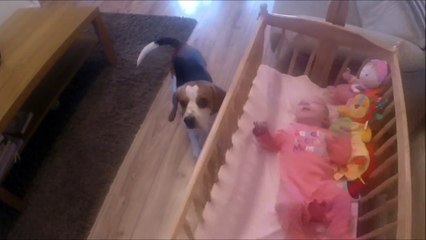 Čuli su svoju bebu kako plače u drugoj sobi. Kada su uletjeli u sobu, imali su šta da vide!