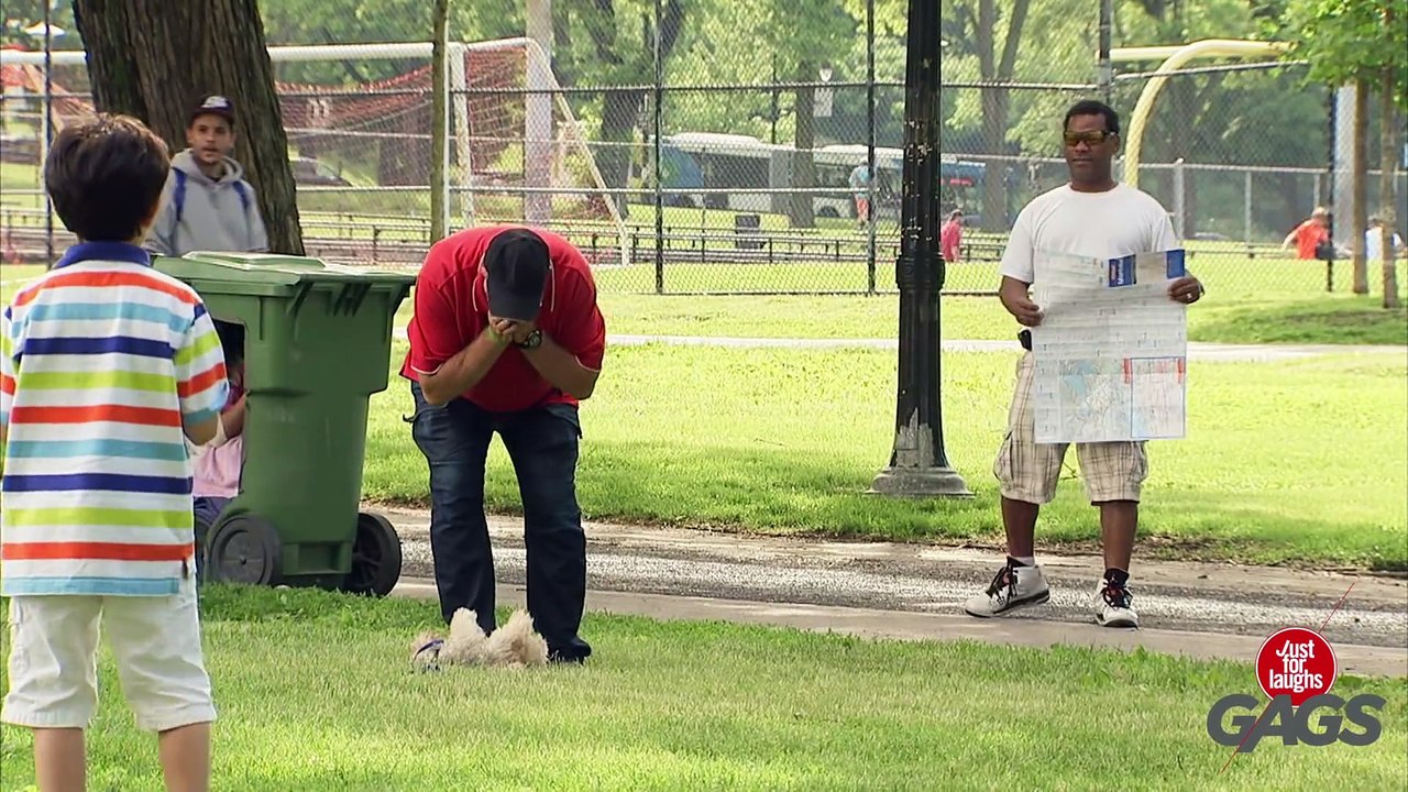 Man Mistakes Dog for Baseball !