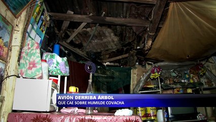 Avión derribo árbol que cayo sobre humilde vivienda