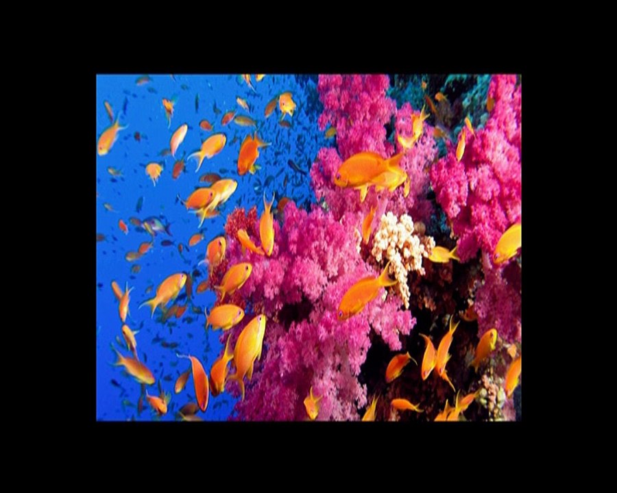 -Prélude-juin 2016 Christian Dupuis