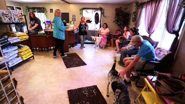 Welcome to Porter Ridge Vet Clinic P.C.