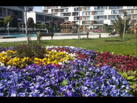 İstanbul Pendik Sabiha Gökçen e Yakın Eşyalı Kiralık 1+1 Daire..