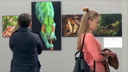 أزمة اللاجئين تتصدر معرض صور الصحافة العالمية بموسكو