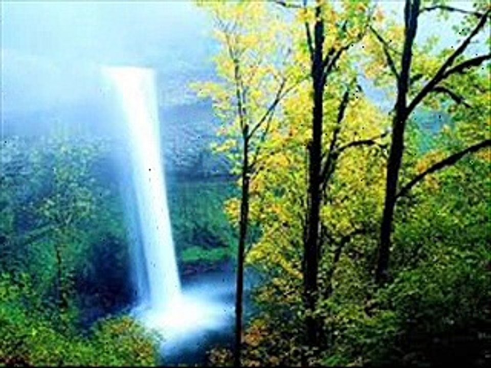 Amazing Pictures! Dailymotion Video Amazing Pictures