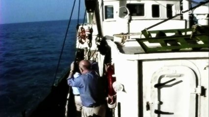 Forces De La Nature: Déluge Biblique