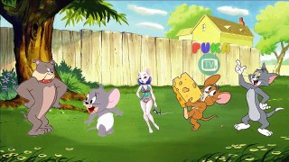 Tom and Jerry Finger Family Song for Kids #Tom and Jerry #Finger Family #Nursery Rhymes