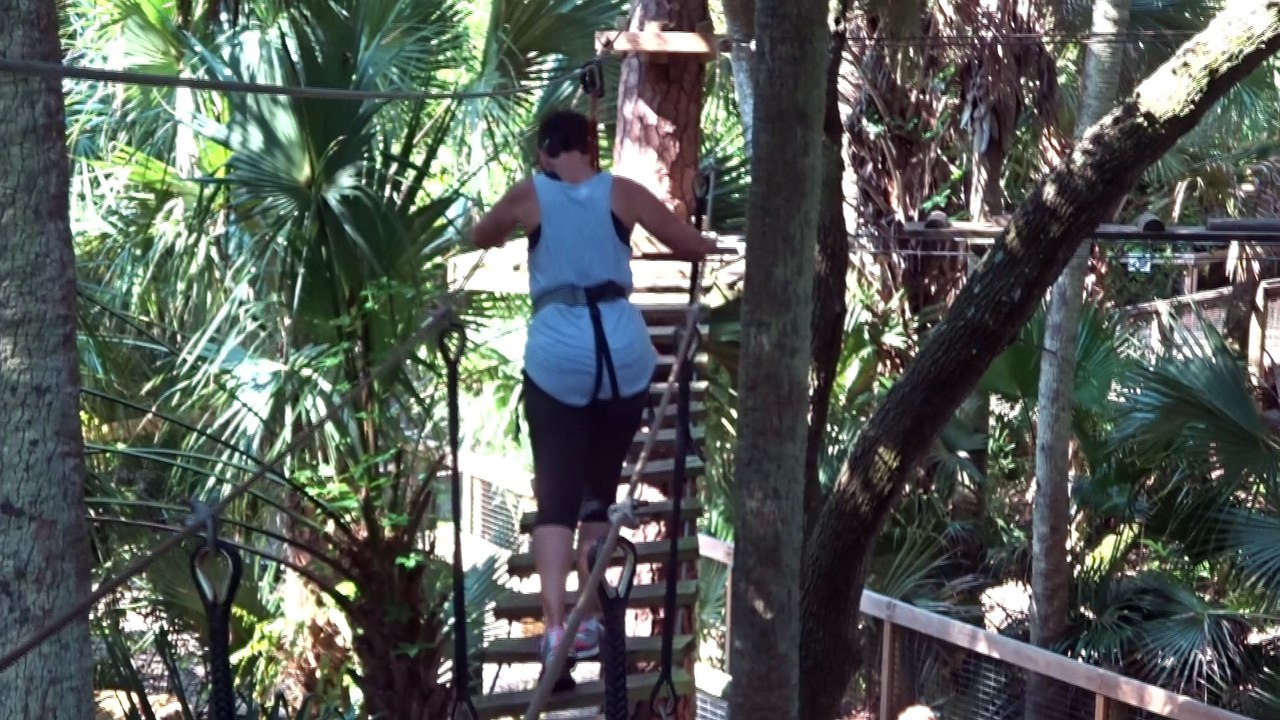 Mom walking bridge