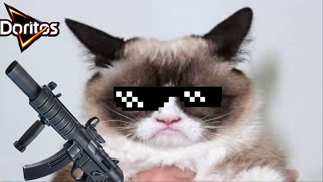 Mlg Grumpy Cat