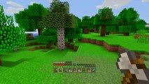 Minecraft Xbox 360   PS3: TU25 QnA Infinite Worlds & Custom Skins